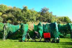 02cb520e-553f-46c3-822f-cef25e9a9be7