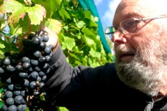 0904b151-cf4f-47f0-991a-348ee3c941bb