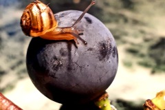 0a99d454-84a3-42eb-ac5f-60b726eb7bfb