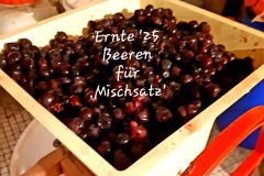 1cdcd345-f9ad-4d51-a7d7-b5885f9b50dc