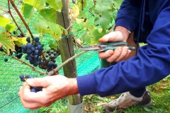 63e3b0f2-161f-4c7f-b1ea-7bbfe459626c