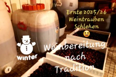 6c435d26-ba6f-49db-ab89-670eccca84a4