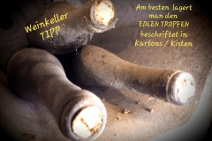 8b799beb-0b61-428f-bf0e-6779bbbfa27b