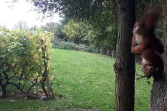 8bcdd970-e3c6-48fb-a19d-b734add31597