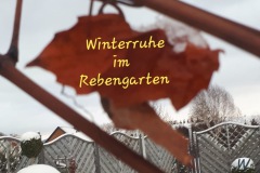 9d602a8b-91f7-4dab-b4e7-1fdb436c6754