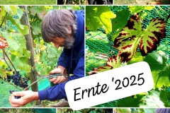 a86b639b-9576-4348-801b-9fcd80abe368