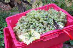 e06e0613-8e51-410d-8eef-d3cd6c0e887c